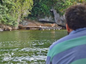 Passeio de Barco para Costa da Lagoa