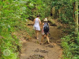 Trilha Para Naufragados | Caieira da Barra do Sul | Florianópolis