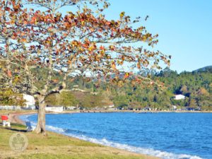 Caiacanga Mirim | Praia da Base Aérea | Sul da Ilha | Florianópolis | Santa Catarina