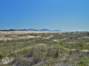 Dunas da Praia dos Ingleses