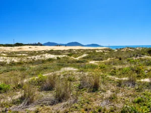Dunas Ingleses - Santinho